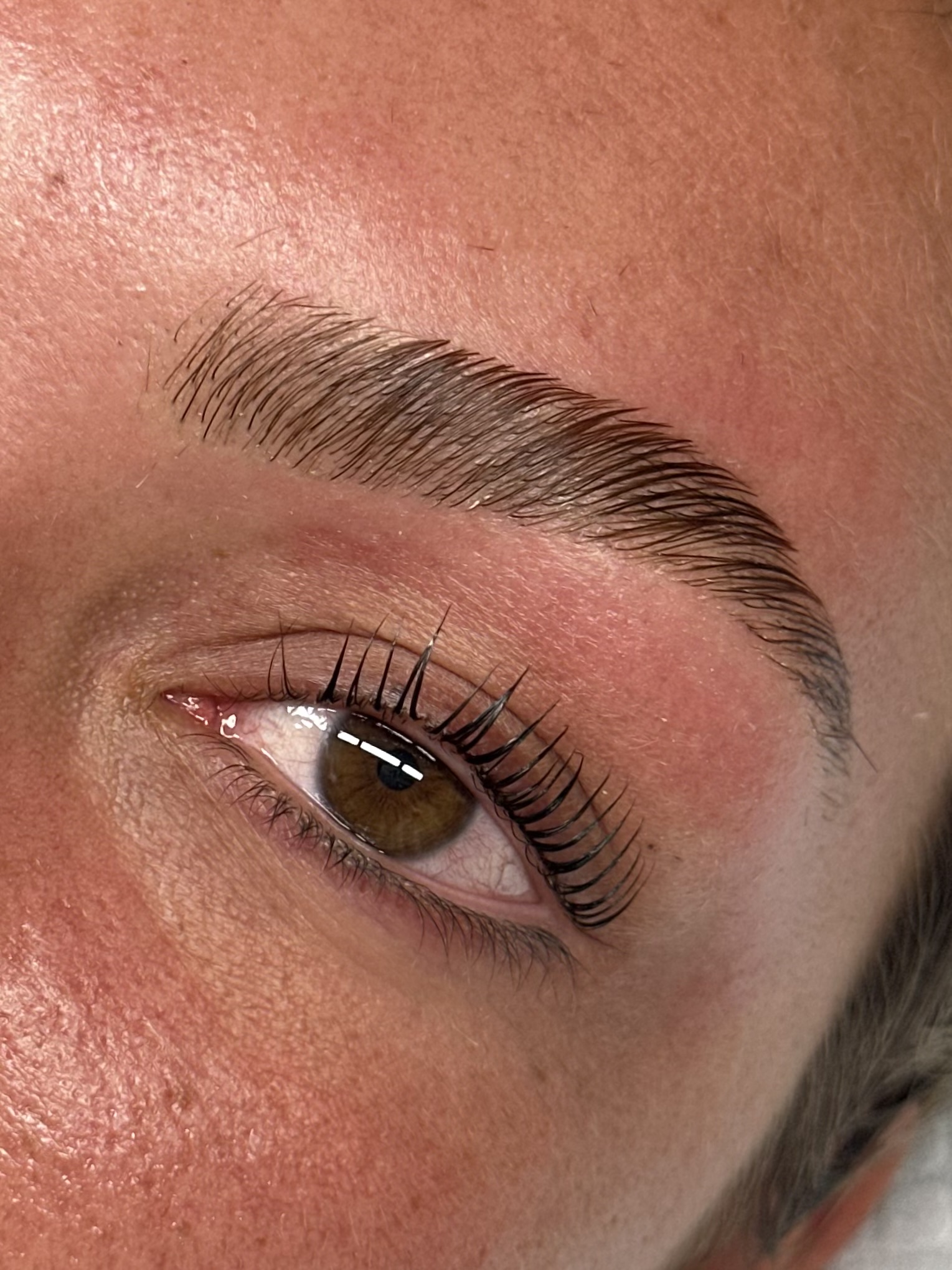 Close-up of a shaped, brushed eyebrow